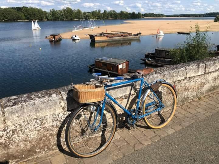 B&B Cote Loire Les Rosiers-sur-Loire Экстерьер фото